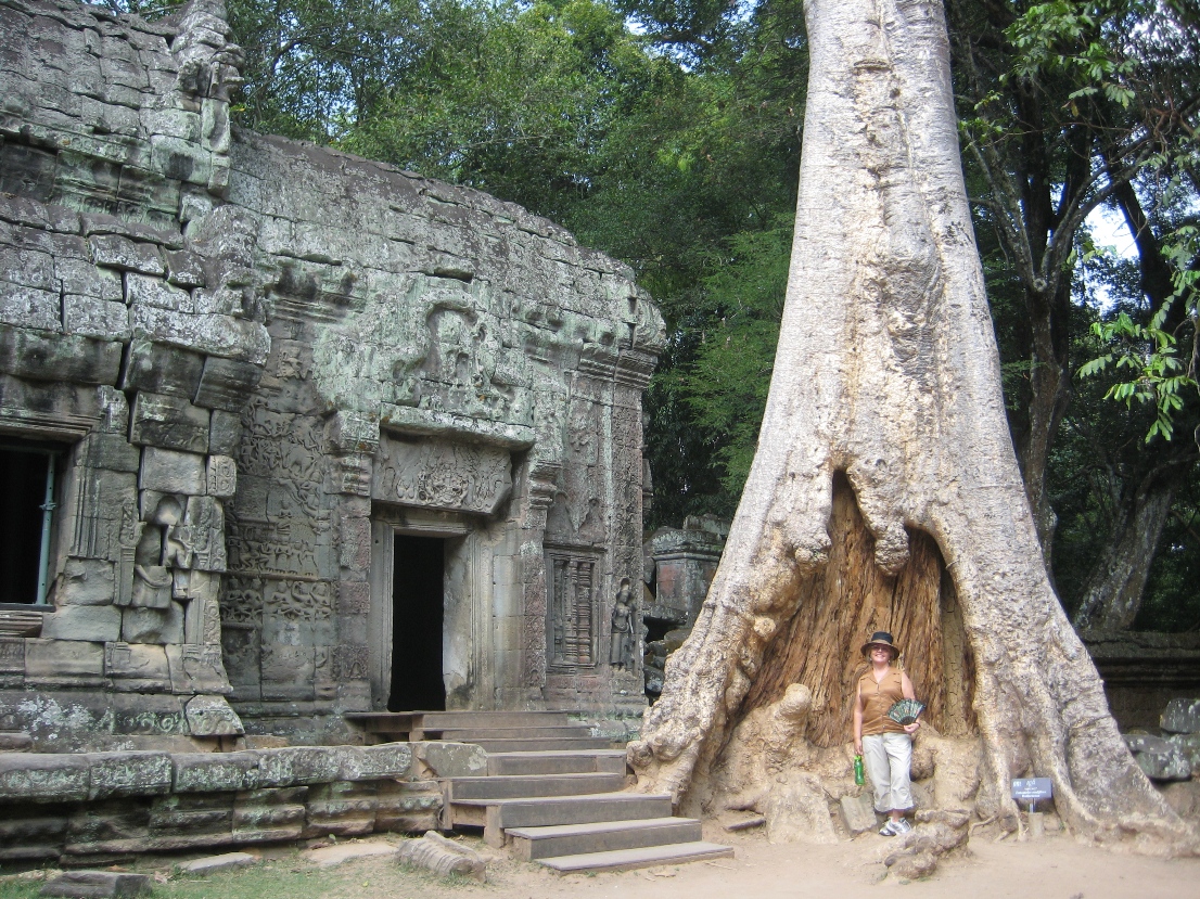 Tree at Ta Prohm