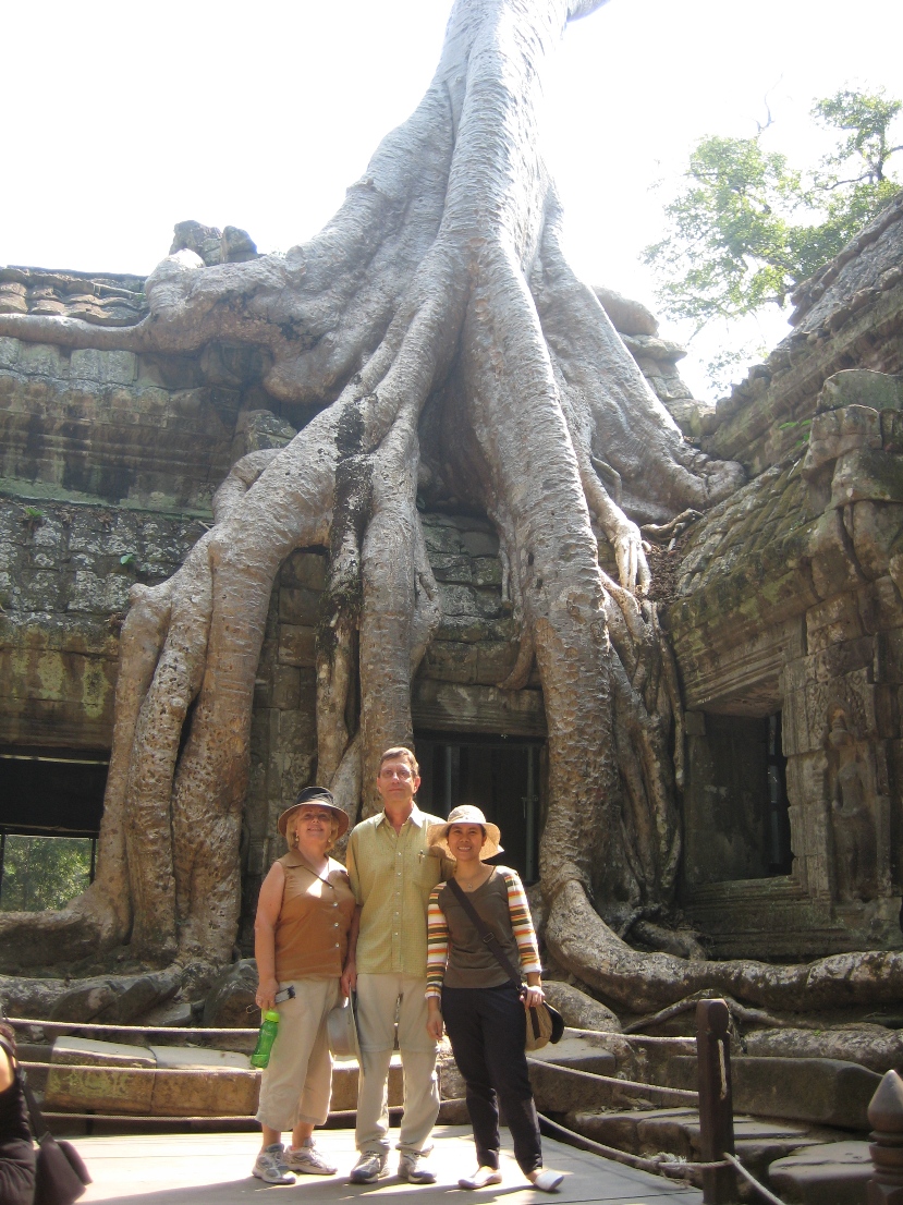 Famous tree at Ta Prohm