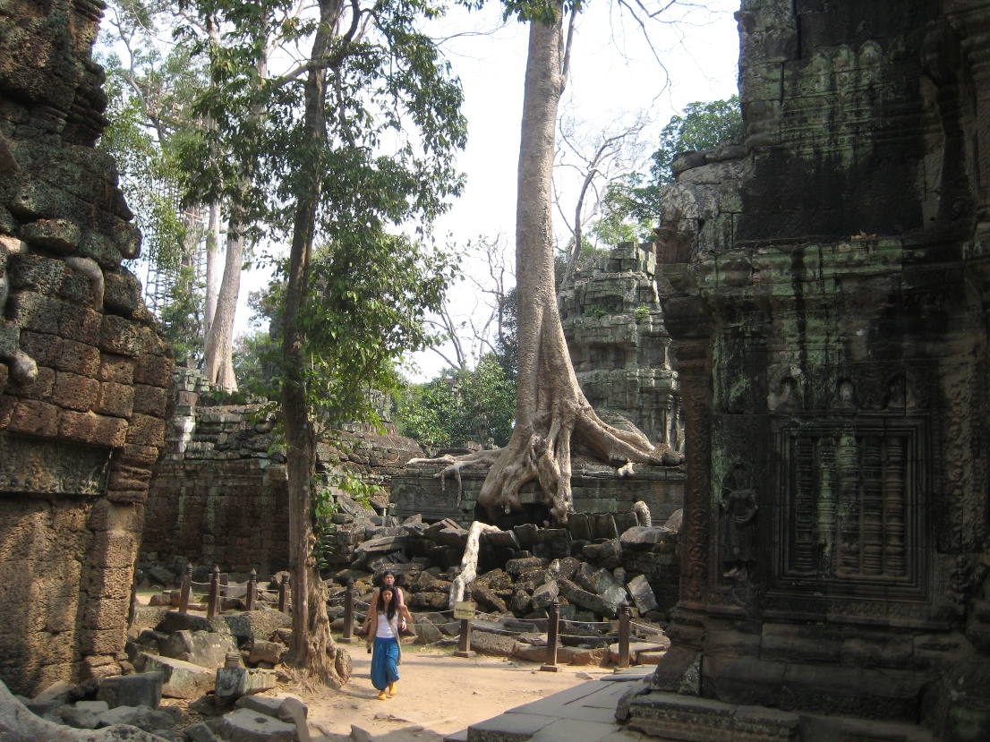 Ta Prohm, Angkor Temple Complex