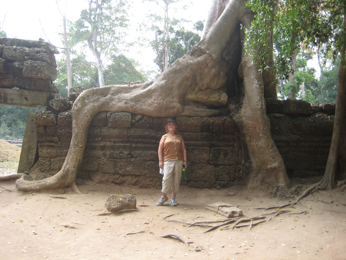 Tree at Ta Prohm
